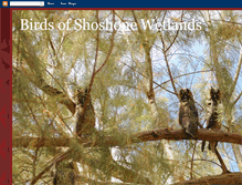 Tablet Screenshot of birdman88-birdsofshoshonewetlands.blogspot.com