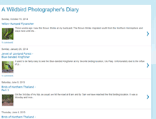 Tablet Screenshot of birdphotodiary.blogspot.com