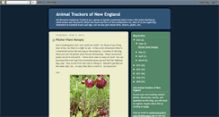Desktop Screenshot of animaltrackersofnewengland.blogspot.com