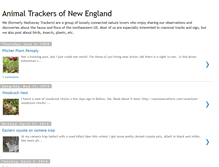 Tablet Screenshot of animaltrackersofnewengland.blogspot.com