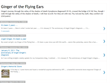Tablet Screenshot of gingeroftheflyingears.blogspot.com