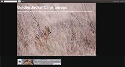 Desktop Screenshot of goldenjackalaround.blogspot.com