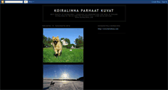 Desktop Screenshot of koiralinna.blogspot.com