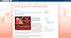 Desktop Screenshot of bestnaturalpenisenlargement.blogspot.com