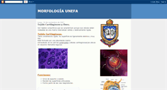 Desktop Screenshot of morfologiaunefa.blogspot.com