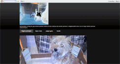 Desktop Screenshot of elblogdelperrogary.blogspot.com