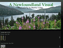 Tablet Screenshot of nfldvisual.blogspot.com