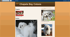 Desktop Screenshot of chapalabaycotons.blogspot.com