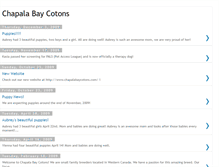 Tablet Screenshot of chapalabaycotons.blogspot.com