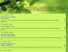 Tablet Screenshot of gyorlabnyom.blogspot.com