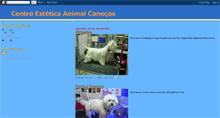 Desktop Screenshot of centroesteticaanimalcanecas.blogspot.com