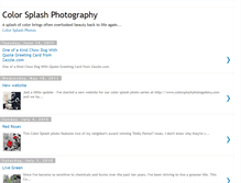 Tablet Screenshot of colorsplashphotography.blogspot.com