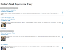 Tablet Screenshot of kestersworkexperiencediary.blogspot.com