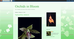 Desktop Screenshot of orchidsinbloom-ron.blogspot.com