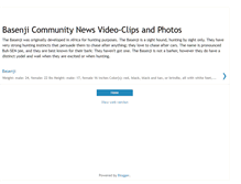 Tablet Screenshot of basenjiprofile.blogspot.com