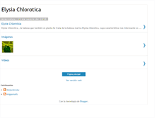 Tablet Screenshot of elysiachlorotica.blogspot.com