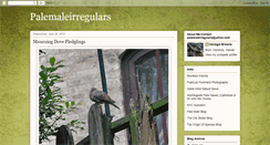 Desktop Screenshot of palemaleirregulars.blogspot.com