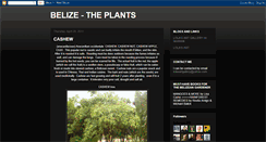 Desktop Screenshot of belizeplants.blogspot.com