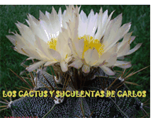 Tablet Screenshot of carlos-micolecciondecactus.blogspot.com