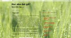 Desktop Screenshot of hurskadetgo.blogspot.com