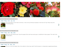 Tablet Screenshot of floralfriday.blogspot.com
