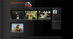 Desktop Screenshot of parrot-pictures.blogspot.com