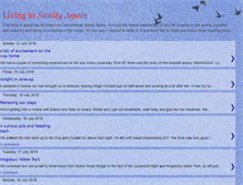 Tablet Screenshot of nbsanity.blogspot.com