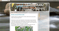 Desktop Screenshot of outandaboutincooloola.blogspot.com