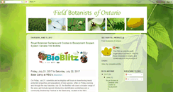 Desktop Screenshot of fieldbotanistsofontario.blogspot.com