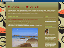 Tablet Screenshot of micrumicuit.blogspot.com