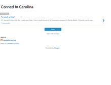 Tablet Screenshot of connedincarolina.blogspot.com