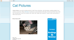 Desktop Screenshot of felinephotos.blogspot.com