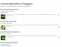 Tablet Screenshot of butterybuttermoth.blogspot.com