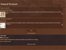 Tablet Screenshot of naturalferment.blogspot.com