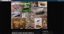 Desktop Screenshot of lostgeordiesmoths.blogspot.com
