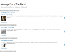 Tablet Screenshot of musingsfromthepond.blogspot.com