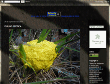 Tablet Screenshot of fotodeanimales.blogspot.com