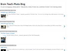 Tablet Screenshot of braintoad42.blogspot.com