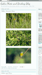 Mobile Screenshot of galesphotoblog.blogspot.com