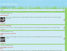 Tablet Screenshot of crazyforcavies.blogspot.com