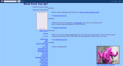 Desktop Screenshot of firedup.blogspot.com
