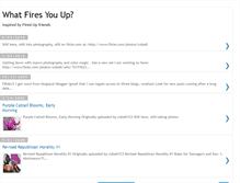 Tablet Screenshot of firedup.blogspot.com