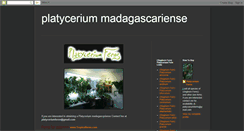 Desktop Screenshot of platyceriummadagascariense.blogspot.com