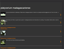 Tablet Screenshot of platyceriummadagascariense.blogspot.com