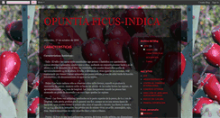 Desktop Screenshot of frutoespinoso.blogspot.com