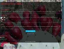 Tablet Screenshot of frutoespinoso.blogspot.com