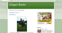 Desktop Screenshot of gingerroots.blogspot.com