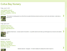 Tablet Screenshot of cultusbaynursery.blogspot.com