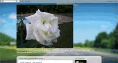 Desktop Screenshot of cantaambiente.blogspot.com