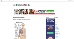 Desktop Screenshot of fatburningfoodsnow.blogspot.com